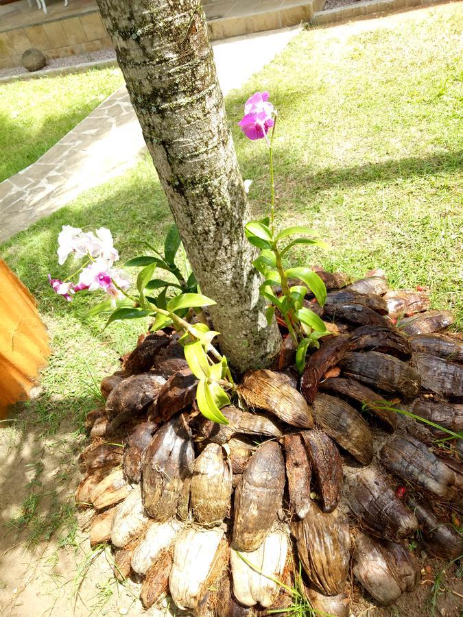 Chalets De Palma Hotel La Digue Kültér fotó